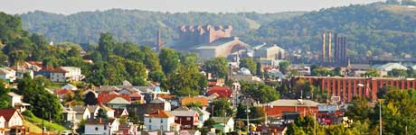 Dynewell Plus Syrup Dietary Supplement for Hip Enhacement, Weight Ga